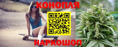 Альфа ПВП Жуковский