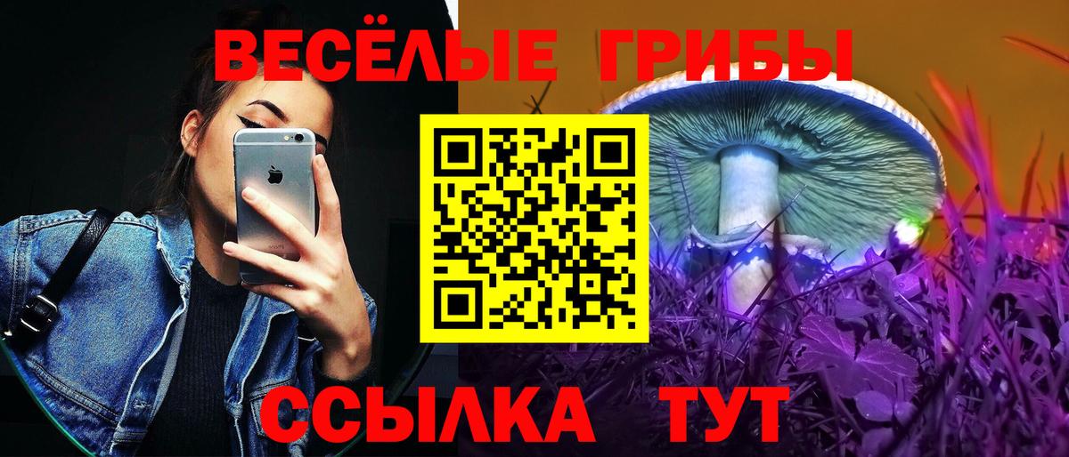 Галлюциногенные грибы мухоморы  где найти наркотики  Псилоцибиновые грибы мицелий  Майский  Вход с VPN 